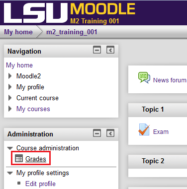 screenshot of the grades option under administration.
