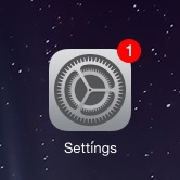 Settings icon in the main iPad menu