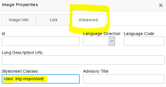 The img-responsive class entered in stylesheet section of Advanced tab