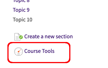 Moodle navigation sidebar with Course Tools link highlighted