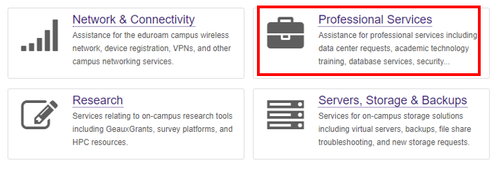 Professional Services button highlighted